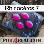 Rhinocéros 7 02